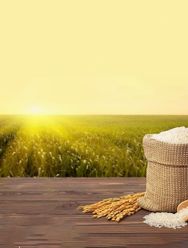 carry bag manufacturers in India,shopping bag manufacturers in india,non woven bags manufacturer,non woven bags manufacturer in India,non woven rice bags manufacturer,BOPP Rice Packaging Bags,packaging bags manufacturers,rice packaging bags manufacturers,multilayer laminated pouches manufacturers | Ompackagings | https://www.ompackagings.in